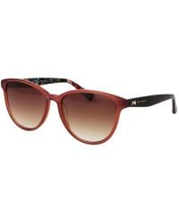 Ted Baker - Acetate Sunglasses - Lyst