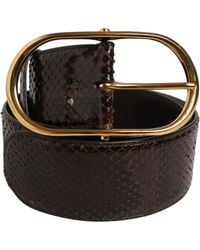Dolce & Gabbana - Brown Python Leather Gold Metal Buckle Belt - Lyst