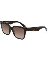 Lacoste - Acetate Sunglasses - Lyst