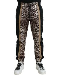 Dolce & Gabbana - Leopard Print Polyester Jogger Pants - Lyst