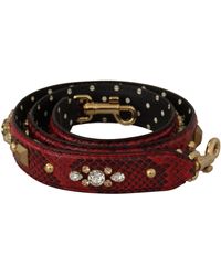 Dolce & Gabbana - Python Leather Crystals Reversible Shoulder Strap - Lyst
