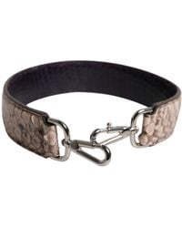 Dolce & Gabbana - Black Cream Exotic Leather Bag Shoulder Strap - Lyst