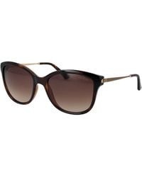 Guess - Brown Acetate Sunglasses - Lyst