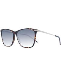 BOSS - Brown Acetate Sunglasses - Lyst