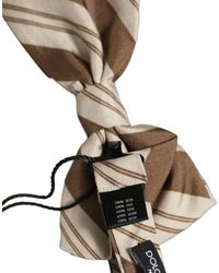 Dolce & Gabbana - Men Brown Beige Stripes Adjustable Neck Papillon Bow Tie - Lyst