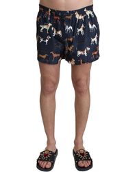 Dolce & Gabbana - Dolce Gabbana Dog Print Beachwear Shorts Swimwear - Lyst