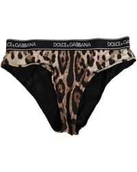 Dolce & Gabbana - Brown Leopard Nylon High Waist Panty Underwear - Lyst