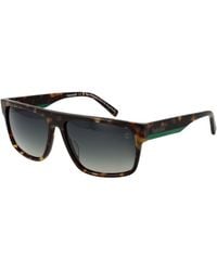 Timberland - Brown Acetate Sunglasses - Lyst