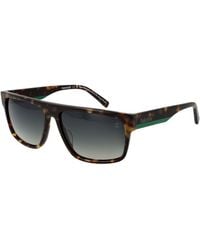 Timberland - Brown Acetate Sunglasses - Lyst