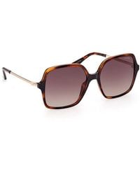 Guess - Brown Iniettato Sunglasses - Lyst