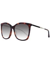 Jimmy Choo - Brown Sunglasses - Lyst