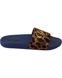 Dolce & Gabbana - Blue Brown Leopard Logo Rubber Slides Slippers Shoes - Lyst