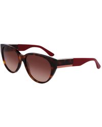 Lacoste - Brown Acetate Sunglasses - Lyst