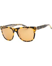Guess - Brown Resin Sunglasses - Lyst