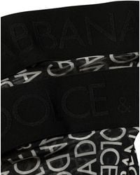 Dolce & Gabbana - Black Sheer Logo Monogram High Stockings Socks - Lyst