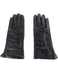 Class Roberto Cavalli Glove - Black