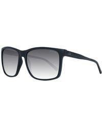 Guess - Sunglasses - Lyst