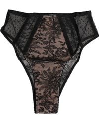 Dolce & Gabbana - Black Floral Lace Sheer Mesh High Waist Underwear - Lyst