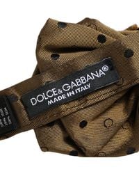 Dolce & Gabbana - Men Brown Polka Dot Silk Adjustable Neck Papillon Bow Tie - Lyst