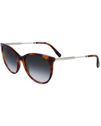 Lacoste - Acetate Sunglasses - Lyst