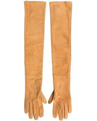 Dolce & Gabbana - Tan Genuine Leather Suede Elbow Length Gloves - Lyst