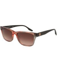 Converse - Acetate Sunglasses - Lyst