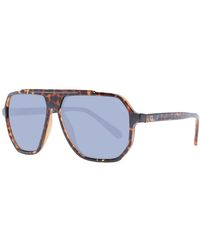 Guess - Brownsunglasses - Lyst