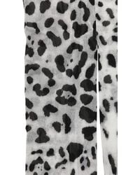 Dolce & Gabbana - Gray Leopard Nylon Tights Stocking Pantyhose Socks - Lyst