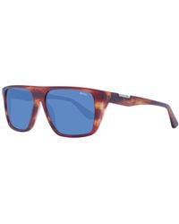 BMW - Brown Acetate Sunglasses - Lyst