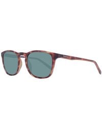 Timberland - Brown Plastic Sunglasses - Lyst