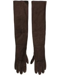Dolce & Gabbana - Brown Genuine Leather Suede Elbow Length Gloves - Lyst