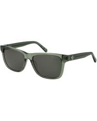 GANT - Acetate Sunglasses - Lyst