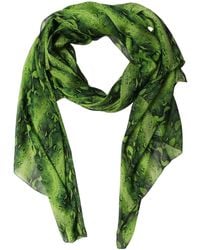 Dolce & Gabbana - Green Black Printed Silk Sheer Stole Scarf - Lyst