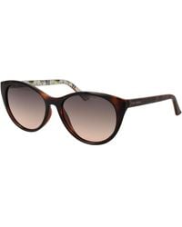 Ted Baker - Brown Acetate Sunglasses - Lyst
