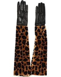 Dolce & Gabbana - Brown Black Leopard Leather Elbow Length Mitten Gloves - Lyst