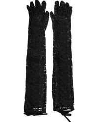 Dolce & Gabbana - Taormina Lace Elbow Length Gloves - Lyst