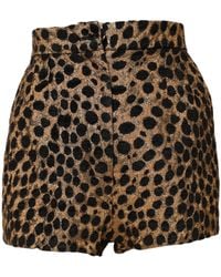 Dolce & Gabbana - Brown Leopard High Waisted Hot Pants Shorts - Lyst