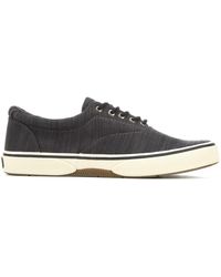 men's halyard cvo laceless saturated sneaker