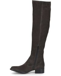 born cricket tall suede boots