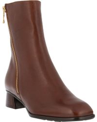 spring step giachetta