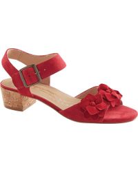 walking cradles pasha sandal