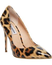 steve madden daisie microsuede studded pumps