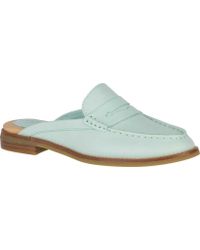 sperry seaport daley