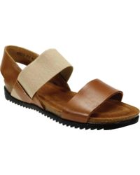 david tate champ sandal