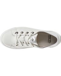 earth cedarwood sneaker