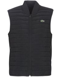 gilet lacoste homme