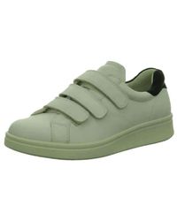 ecco soft 4 green
