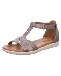 clarks palm stellar grey