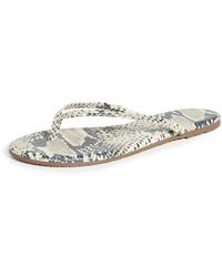 TKEES - Studio Exotic Flip Flops - Lyst