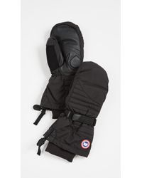 Canada Goose Arctic Down Mittens - Black